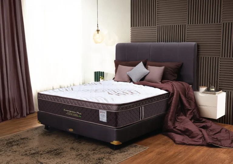 Evergreen Plus Panjang scaled