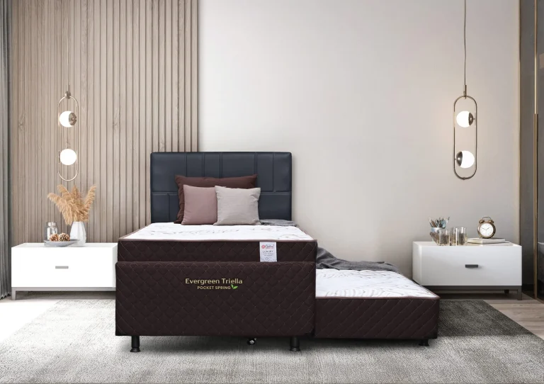 Evergreen Triella Panjang scaled