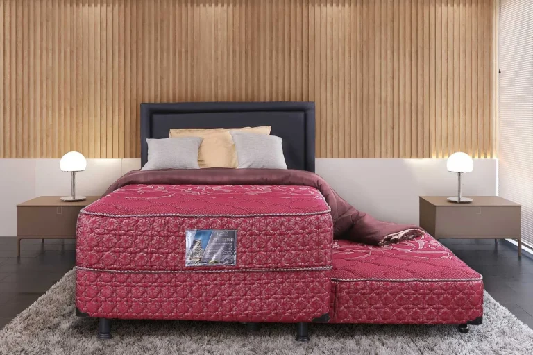 Premier Fresh 2 in 1