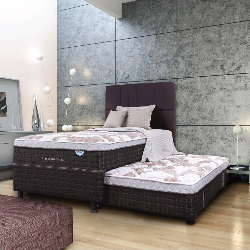 Primavera Tropic 2in1 Kotak