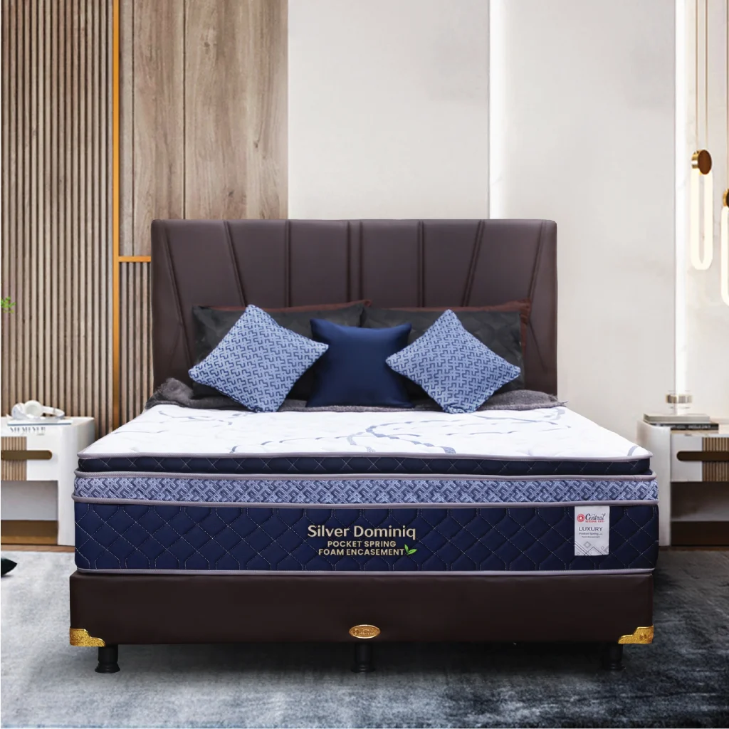 Silver Dominiq Kotak